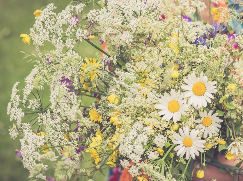 Midsommertilbud -