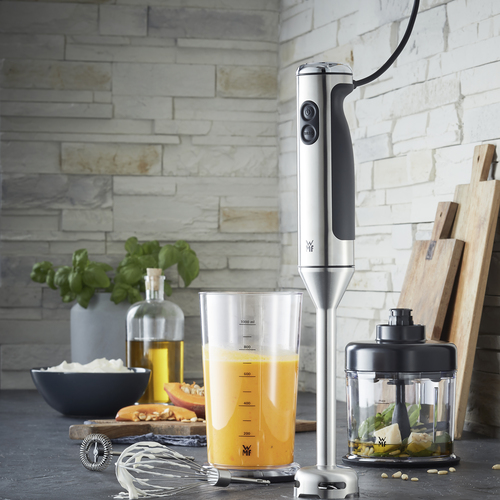 Lineo stavblender, sæt med 4 tilbehør, 700 W,rustfrit stål 