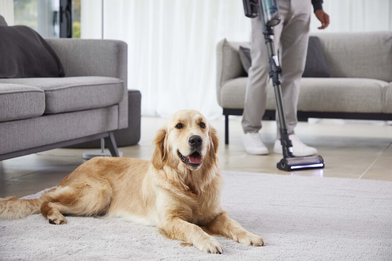 Det bedste valg for kæledyrsejere – Dyremodellen