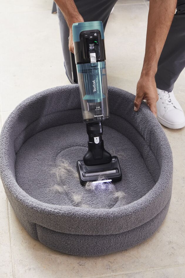 Oplev enestående sugekraft med vores støvsugere og specialtilbehør, perfekt til at fjerne hår og fnug fra møbler og gulve.