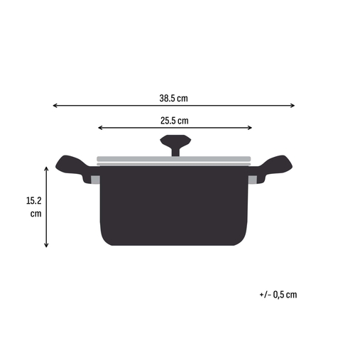 Gryde 24 cm/5,4L. med låg, Rustfrit Stål Ubelagt, Emotion Plus SS