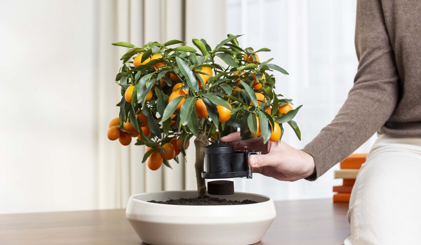 Designet til nem rengøring