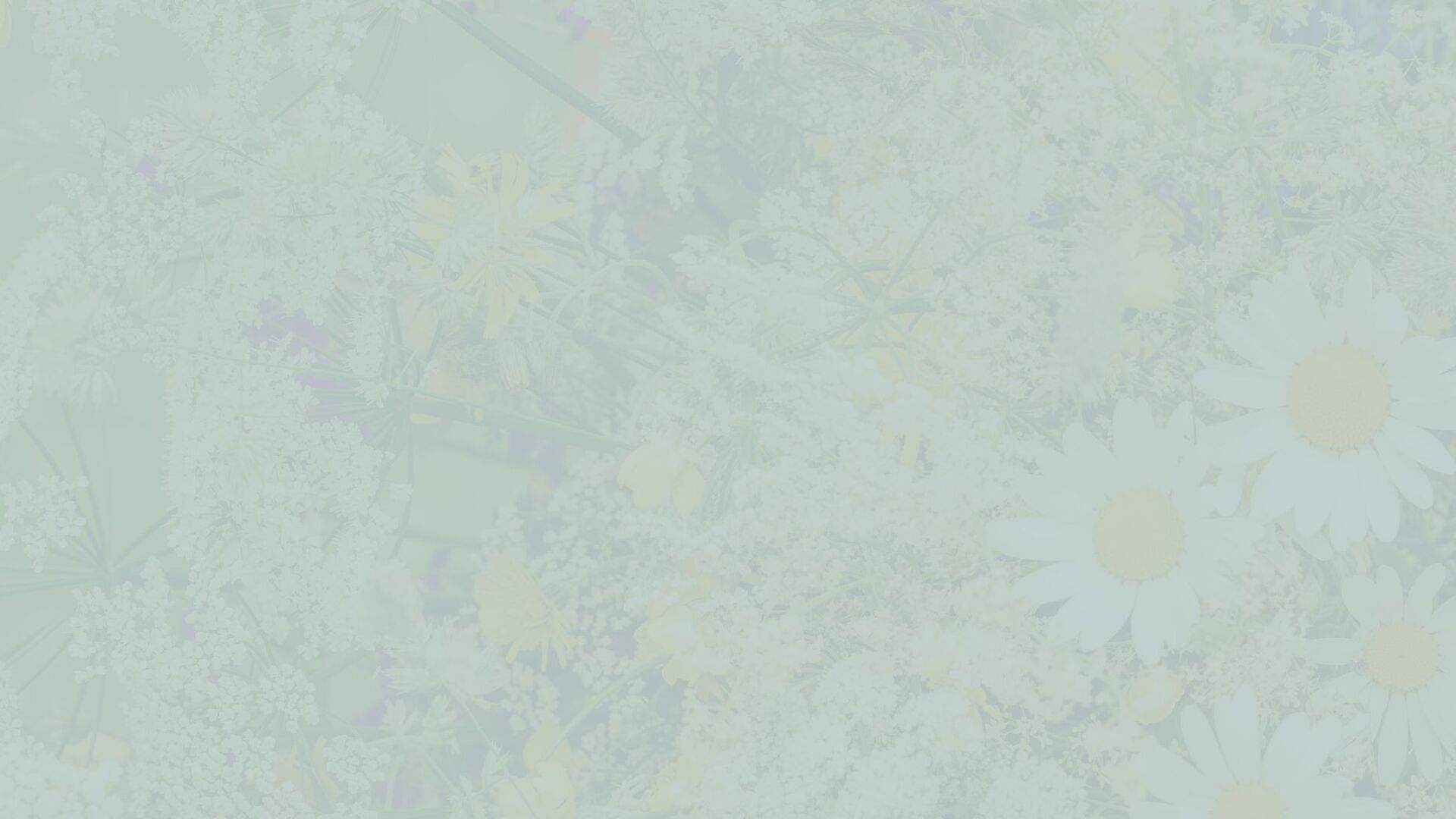 Midsommertilbud